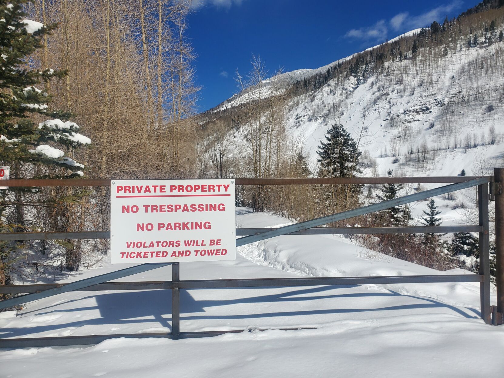 Rico hot springs